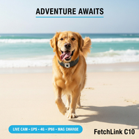 Collar Inteligente para Mascotas con Rastreo GPS, Cámara HD, Rastreo en Tiempo Real, Audio Bidireccional, 4G y WiFi, Valla Virtual para la Seguridad de Mascotas al Aire Libre