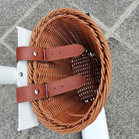 Bicicleta de Ejercicio Comercial para Niños Beck-EXI / Bicicleta de Spinning / Extractor de Jugos