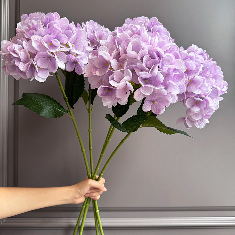 rose clair violet