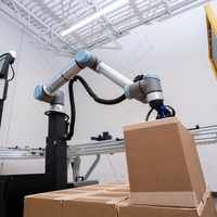 Bras de robot industriel Conception modulaire et production Palettiseur de cartons Empilage sur palette Robot d'emballage de caisses