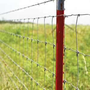 Clôture de bétail extérieure galvanisée électrique de résistance à la corrosion de longueur personnalisée en gros bon marché pour l'agriculture de champ de cerf - Product Image 5