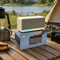 Dual-Driver RGB-Lautsprecher BT 5.3 16W Tragbarer Kabelloser Audio-Player mit USB TF FM für Reisen Großhandel OEM ODM