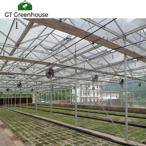 Tunel Plastico Inverna dero-Agri cultura - Product Image 4