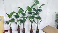 Palmier artificiel Real Touch Traveler's Palm, tailles 120/160/180/220 cm, pour décoration intérieure et extérieure, fabriqué en PU durable