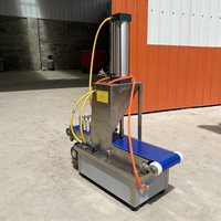 Presse à gâteaux de riz gluant entièrement automatique, machine à gâteaux de pêche, machine à faire des gâteaux de lune, machine à former des gâteaux de lune commerciaux
