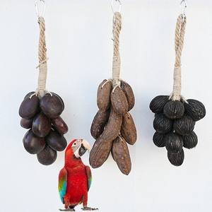 Jouets à mâcher écologiques <span class=keywords><strong>pour</strong></span> perroquets de grande et moyenne taille avec fruits naturels, fruits en filet <span class=keywords><strong>pour</strong></span> le broyage quotidien des dents - Product Image 6
