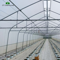 Serre en film plastique à tunnel unique, économique et facile à utiliser, GT Four Seasons, à vendre