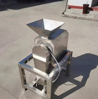 Industriële fruitontpitter en -pulper, commerciële grote machine voor het pellen en pulperen van mango, gember en jujube