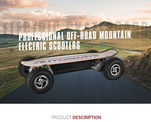 Skateboard Elettrico con Autenticazione CE RoHS FCC Design Urbano Off-Road Conciso Guida Invece di Camminare 800W 36V 14AH Prezzo all'Ingrosso - Product Image 3