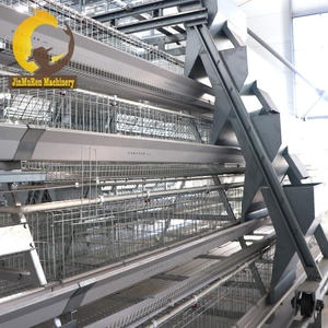 Jinmuren automatico di tipo A e di tipo H pollo strato gabbia di batteria gabbia utilizzato <span class=keywords><strong>in</strong></span> allevamento di pollame - Product Image 3
