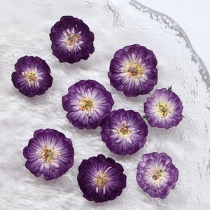 Rosa in miniatura naturale vera e propria fiore essiccato e pressato per resina arte custodia del telefono cornice natale pasqua Halloween <span class=keywords><strong>decorazioni</strong></span> - Product Image 3