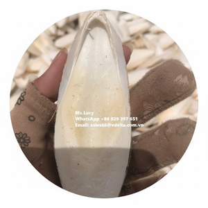 Exportation de poudre d'os de seiche de haute qualité/os de seiche séché/os de seiche broyé du Vietnam Mme Lily - Product Image 1