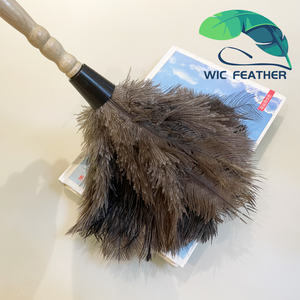 Fournitures de nettoyage lavables à prix d'usine, <span class=keywords><strong>Mini</strong></span> <span class=keywords><strong>plumeau</strong></span> en plumes d'autruche de 14 pouces pour clavier de voiture et de bureau, vente en gros - Product Image 5