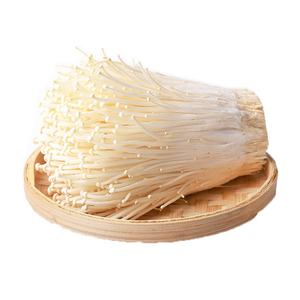 Polvo de Extracto de Hongo Enoki HALAL, Precio de Fábrica OEM, 10:1, Refuerzo Inmunológico y Rico en Beta Glucano, para Nutracéuticos y Alimentos - Product Image 2