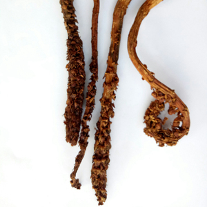 Pièces de Broomrape entières séchées Liedang Champignon de plante de Broomrape naturel à vendre - Product Image 6