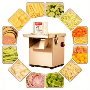 Cortadora de Vegetales Comercial Compacta Henan, Motor de 6.2 kg, 220V, para Pequeños Bistrós, Camiones de Comida y Plantas de Procesamiento de Frutas - Product Image 1