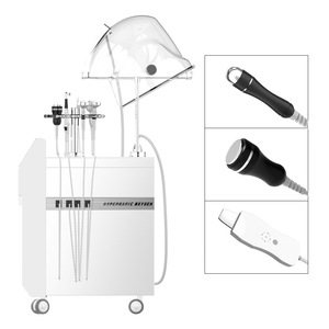 Appareil de thérapie faciale multifonctionnel, jet d'oxygène, équipement de soin de la peau, utilisation en salon de beauté, acier inoxydable, garantie de 2 ans - Product Image 5