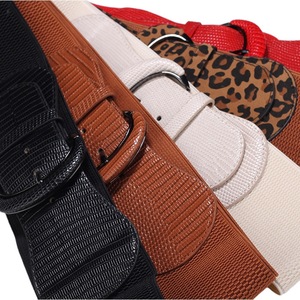 Ceinture décorative pour femme, nouvelle collection 2025, imprimé léopard, élastique, en cuir polyvalent, offre exclusive transfrontalière personnalisée - Product Image 1