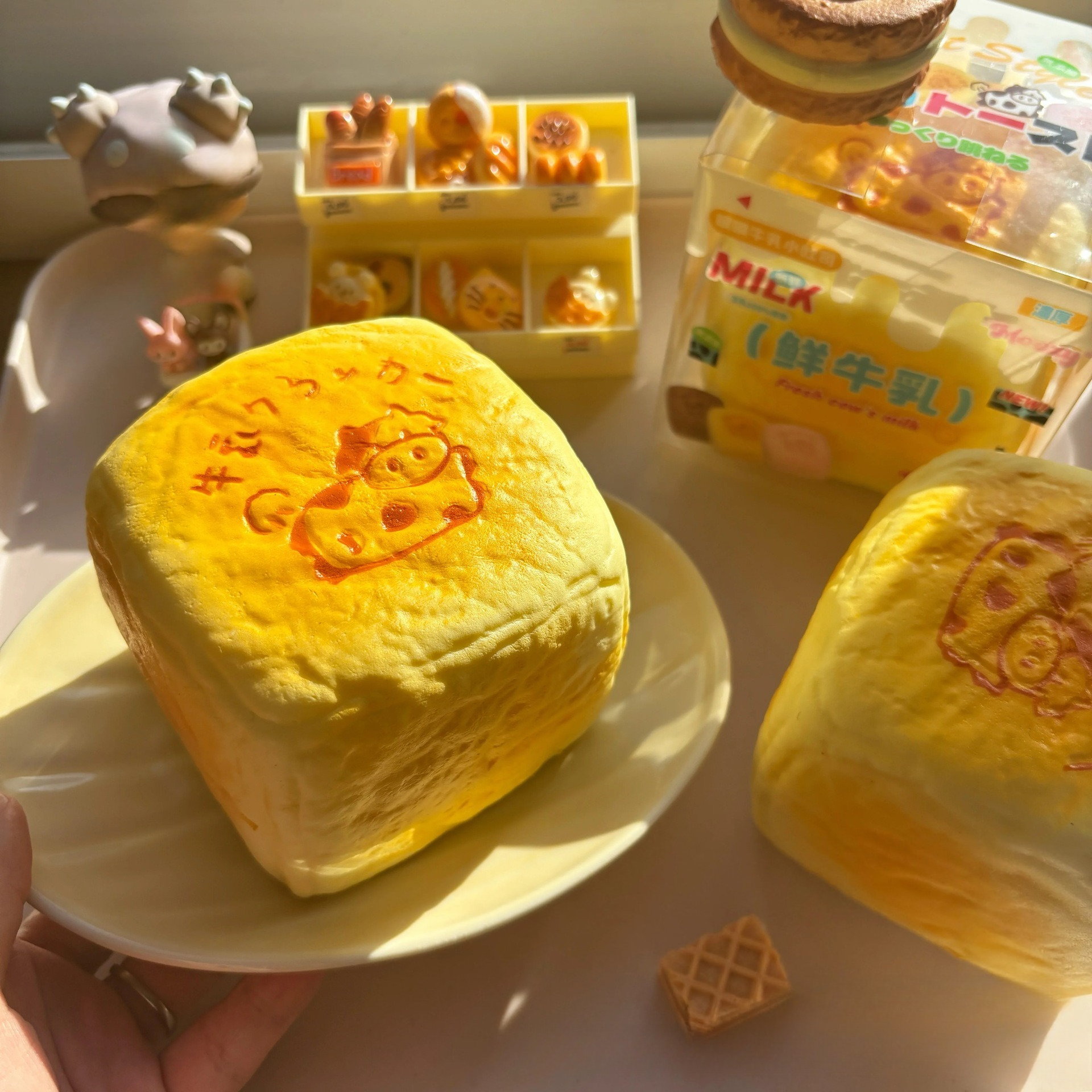 Toast au bœuf soufflé (boîte d'emballage fine)
