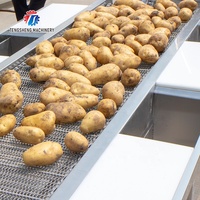 Automatische Groente En Fruit Sorteren Machine Selectie Tafel TS-GF25A