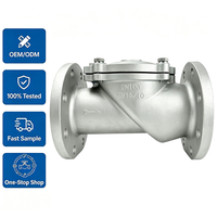 Katup Periksa Air Laut Satu Arah Karet Stainless Steel untuk Kontrol Fluida, Penjualan Grosir OEM/ODM