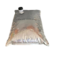 Coffee Shope Supplies CA USA 3L Cold Brew Coffee To Go Box Sac à vin dans la boîte Distributeur de boîte à café jetable 5L avec vanne de robinet