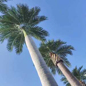 YRYZ25 Faux King Palm Tropical Ornemental Plastique Fibre de Verre Planttall <span class=keywords><strong>Géant</strong></span> Grand Palmier Artificiel Cocotier - Product Image 6