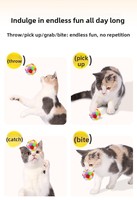 Jouet pour chat en peluche coloré fait main, avec clochette, élastique, couineur et à mâcher, pour usage intérieur – Bestseller pour animaux de compagnie