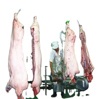 Machine d'abattage de porcs clé en main pour l'abattoir de porcs