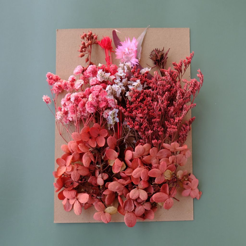 Fleur séchée#11
