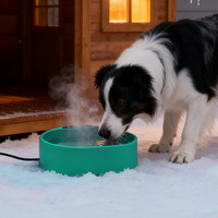 Bol à eau chauffant électrique pour animaux de compagnie, pour chien et chat, pour l'extérieur, pour l'hiver, pour l'eau froide