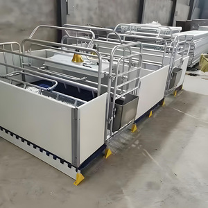 Heavy Duty Swine Farrowing Stall Hot Dip Galvanized Steel Sow Crates Cast Iron Plastic Slatted Flooring Creep Area for Piglets - Product Image 2
