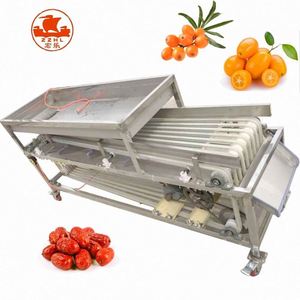 Machine de classement de taille de fruits et légumes Équipement de tri Dates de fruits et légumes Machine de tri de poids - Product Image 5