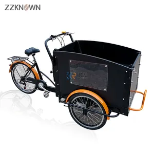 2024 Nieuwe Stijl Ouder-Kind Driewieler Kleine Duurzame Elektrische 3-wielige Bakfiets Volwassen Reverse Trike Te Koop Oem