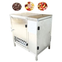 4Kg ~ 6Kg Kleine Werkblad Desktop Thuis Fruit Chips Conserva Elektrische Vriesdroger Melkpoeder Lyofilisator Machine Huishoudelijk Gebruik