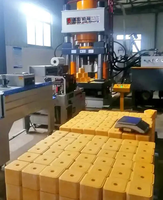 Presse hydraulique à servomoteur 500T pour la fabrication de blocs d'aliments pour bovins et ovins, haute productivité, équipée de dispositifs antirouille