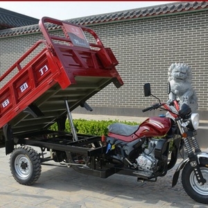 Triciclo de Carga a Gasolina de 3 Ruedas en Oferta, 1000W 48V, Carrocería Abierta, Carga Útil de 300-400kg, 25-35km/h, Fabricación China, Tipo Motocicleta - Product Image 6