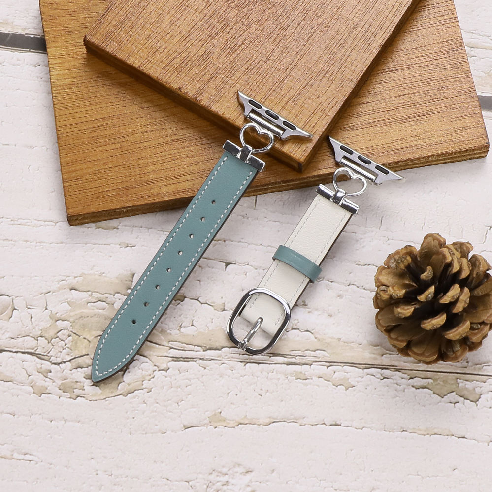 สีเขียวต้นกระบองเพชร