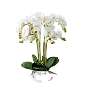 Sahte plastik aranjmanları phalaenopsis orkide bitkiler premium gerçek dokunmatik lateks beyaz yapay çiçekler orkide ipek çiçek