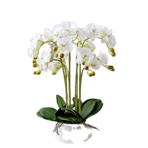 fake plastic arrangements phalaenopsis orchids plants premium real touch latex white artificial flowers orchid silk flower