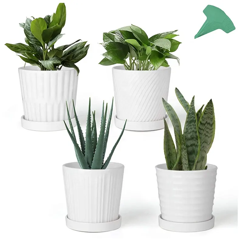 Confezione da 4 vasi succulenti da 6 pollici con vasi per fioriera rotondi per interni da esterno con vassoio