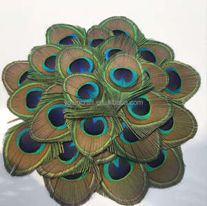 Divers types de plumes de paon naturelles pour la décoration de mariage, accessoires pour cheveux, décoration de fête, accessoires de pêche - Product Image 6