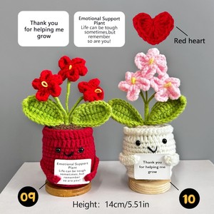 Handmade Polyester Cổ Điển Crochet Cho Nhà Máy Trong Chậu Trang Trí Ngày Valentine Cảm Ơn Bạn Món Quà Dệt Kim Chậu Hoa - Product Image 2