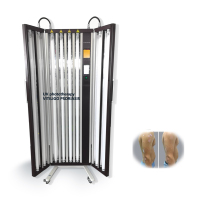 Lampe UVB à bande étroite de photothérapie UVA d'approvisionnement d'usine pour la beauté et les soins personnels