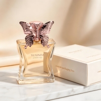 Flacon de parfum vide personnalisé de luxe 30ml 50ml 100ml avec bouchon papillon en verre et emballage personnalisé