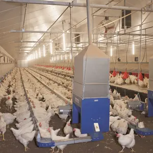 Alimentador de cadena automático, sistema de cría de pollos, equipo de línea de alimentación de aves de corral, máquina de parrilla parental