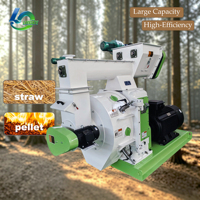Machine à granulés de sciure de bois de grande capacité, équipement de pelletisation de sciure de bois et de déchets agricoles pour usine de biocarburant