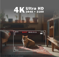 Tarjeta TF de Plástico de 32GB/64GB/128GB/256GB, Clase 10, Alta Velocidad para Teléfono y Cámara, Venta al Por Mayor