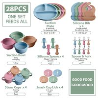Juego de Platos de Silicona para Bebé, Personalizado, Libre de BPA, con Babero y Vaso con Pajita, Juego de Vajilla de Grado Profesional para Recién Nacidos