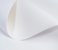 Rollo de Lienzo de Poliéster Imprimible de 252 g/m², Mate, Impermeable, para Impresora de Inyección de Tinta con Pigmentos, Compatible con EPSON, CANON, HP